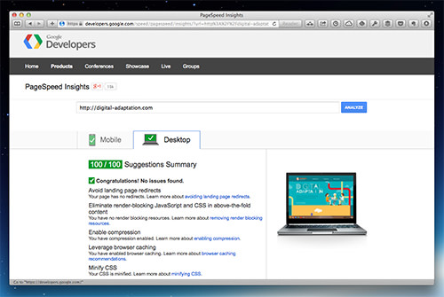 Google Page Speed Test