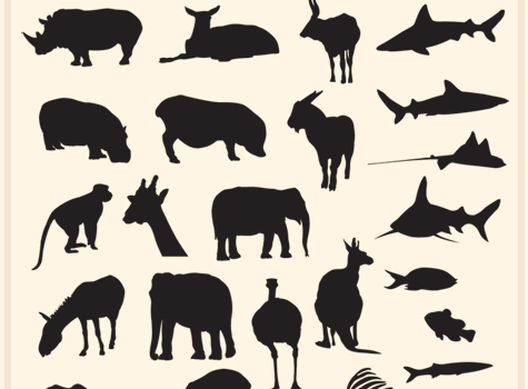 Animal Vectors