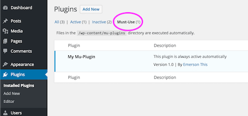 Must use plugins interface in Wordpress dashboard