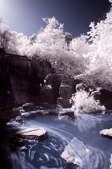 Infrared Photo