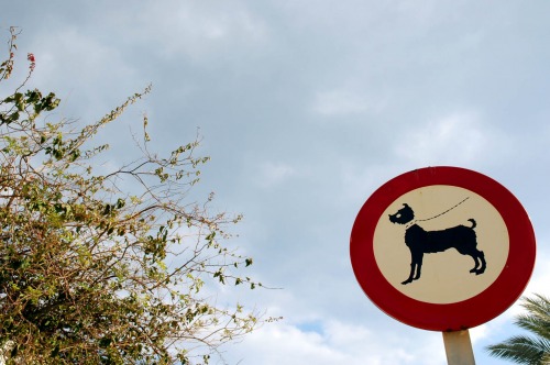 Wayfinding and Typographic Signs - wet-dog-walk