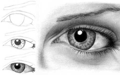 Learn How to Draw a Realistic Eye in Minutes