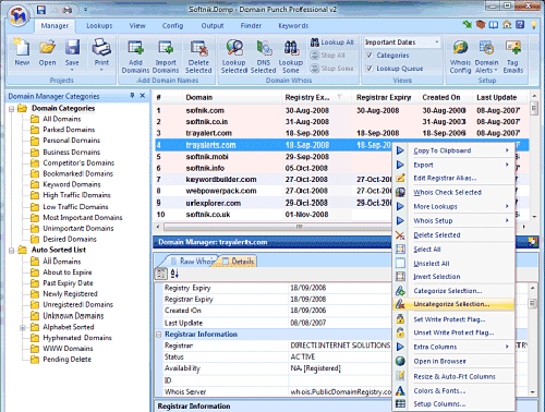 Screenshot Domainpunch Windows Software