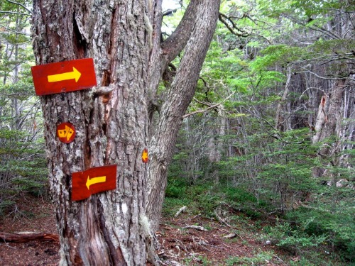 Wayfinding and Typographic Signs - lost-in-tierra-del-fuego