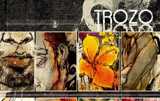 TROZO GALLERY screen shot.