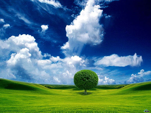 Nature Wallpaper, Nature Background