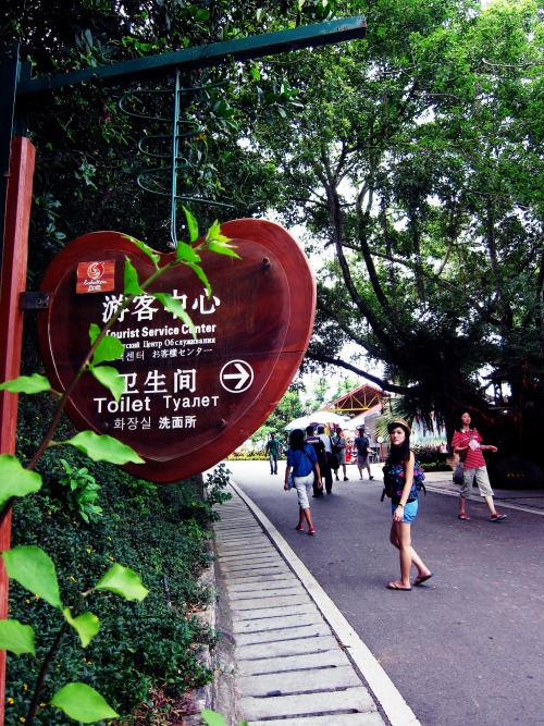 Wayfinding and Typographic Signs - heart-shaped-signboard